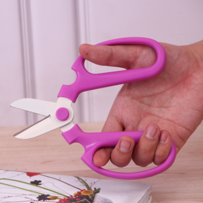 TIJERAS FLORALES - Morado