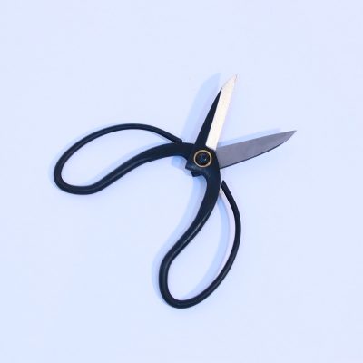 TIJERAS JAPONESAS PARA FLORERIA - T01