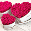 CAJAS DE CORAZON CON FLORES ETERNAS PREMIUM ROSAS PRESERVADAS