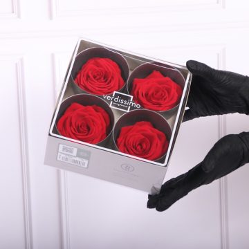 CAJA CON 4 ROSAS ETERNAS O FLORES ETERNAS