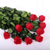 ROSAS ETERNAS CON TALLO Y HOJAS ROJAS