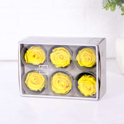 ROSAS ETERNAS PRESERVADAS