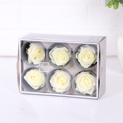 CAJA CON 6 ROSAS ETERNAS - STANDARD - Beige