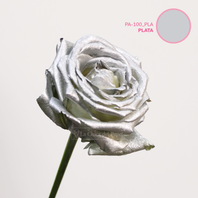 PINTURA EN AEROSOL PARA FLORES - Plata