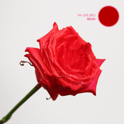 PINTURA EN AEROSOL PARA FLORES - Rojo