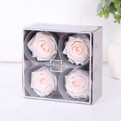 CAJA CON 4 ROSAS ETERNAS - PREMIUM - PORCELANA