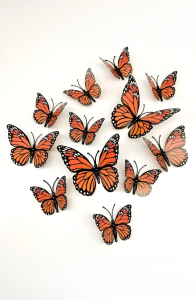 Accesorios Decorativos