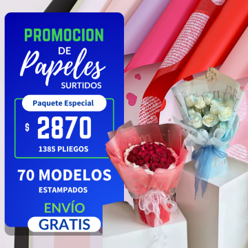 PAPELES COREANO MAYOREO SURTIDO